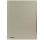 Esselte gray filing folder, A4 size