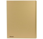 Esselte dossiermap gems, ft A4