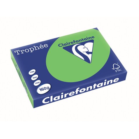 Clairefontaine Trophée Intens, papier couleur, A3, 160 g, 250 feuilles, vert menthe