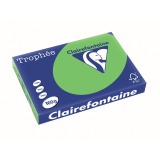Clairefontaine Trophée Intens, papier couleur, A3, 160 g, 250 feuilles, vert herbe