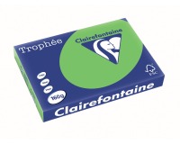 Clairefontaine Trophée Intens, gekleurd papier, A3, 160 g, 250 vel, grasgroen