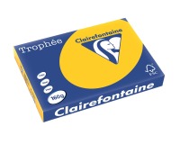 Clairefontaine Trophée Intens, papier couleur, A3, 160 g, 250 feuilles, jaune tournesol