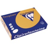 Clairefontaine Trophée Pastel, papier couleur, A4, 160 g, 250 feuilles, caramel