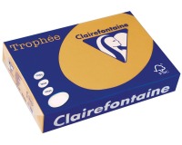 Clairefontaine Trophée Pastel, gekleurd papier, A4, 160 g, 250 vel, mokkabruin