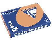 Clairefontaine Trophée Pastel, papier couleur, A3, 160 g, 250 feuilles, caramel