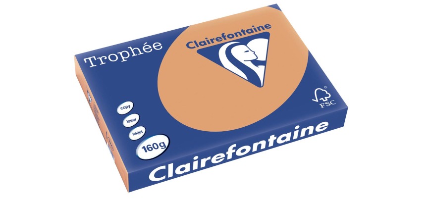 Clairefontaine Trophée Pastel, colored paper, A3, 160 g, 250 sheets, caramel