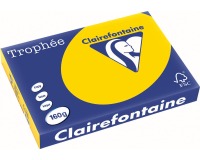 Clairefontaine Trophée Pastel, gekleurd papier, A3, 160 g, 250 vel, goudgeel
