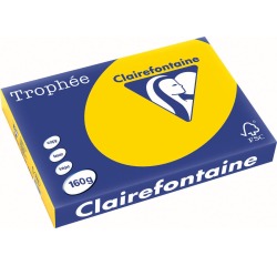 Clairefontaine Trophée Pastel, papier couleur, A3, 160 g, 250 feuilles, bouton d'or