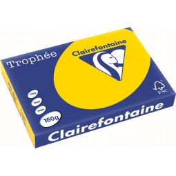 Clairefontaine Trophée Pastel, papier couleur, A3, 160 g, 250 feuilles, bouton d'or
