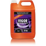 Vigor geconcentreerde ontvetter, flacon van 5 liter