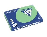 Clairefontaine Trophée Pastel, papier couleur, A3, 160 g, 250 feuilles, vert nature