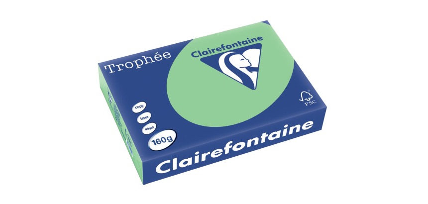 Clairefontaine Trophée Pastel, colored paper, A4, 160 g, 250 sheets, natural green