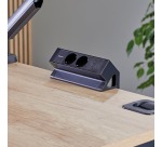 Fellowes Power Desk 2, 2 Steckdosen + 1 x USB-A + 1 x USB-C, schwarz, für die Niederlande