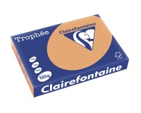 Clairefontaine Trophée Pastel, papier couleur, A4, 120 g, 250 feuilles, caramel