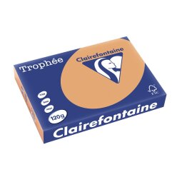 Clairefontaine Trophée Pastel, gekleurd papier, A4, 120 g, 250 vel, mokkabruin