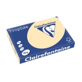 Clairefontaine Trophée Pastel, papier couleur, A3, 80 g, 500 feuilles, chamois