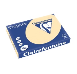 Clairefontaine Trophée Pastel, papier couleur, A3, 80 g, 500 feuilles, chamois