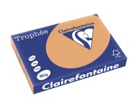 Clairefontaine Trophée Pastel, gekleurd papier, A3, 80 g, 500 vel, mokkabruin