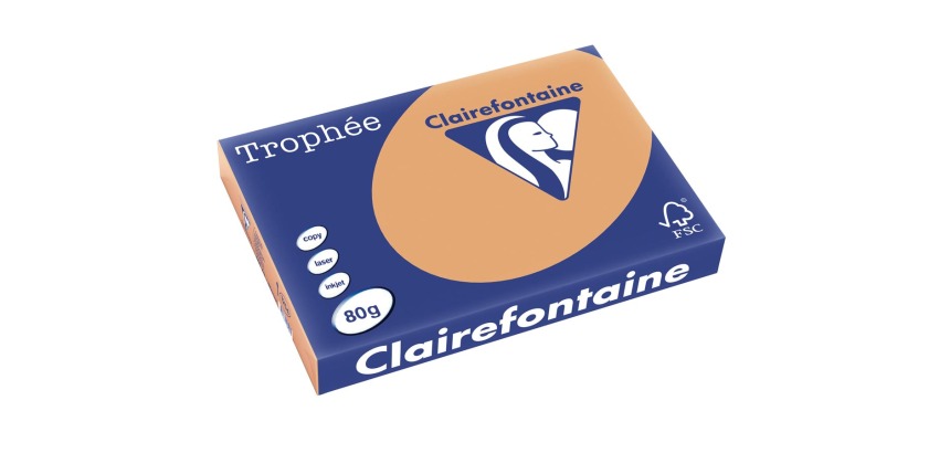 Clairefontaine Trophée Pastel, gekleurd papier, A3, 80 g, 500 vel, mokkabruin