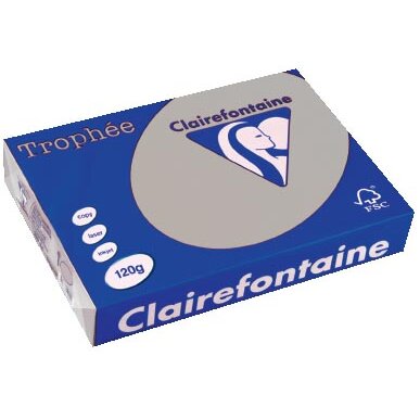 Clairefontaine Trophée Pastel, papier couleur, A4, 120 g, 250 feuilles, gris clair