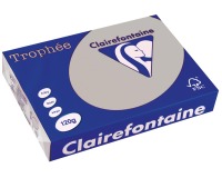 Clairefontaine Trophée Pastel, gekleurd papier, A4, 120 g, 250 vel, lichtgrijs