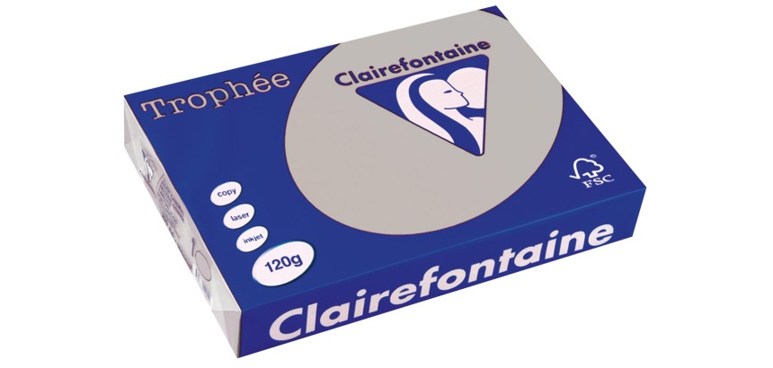 Clairefontaine Trophée Pastel, papier couleur, A4, 120 g, 250 feuilles, gris clair