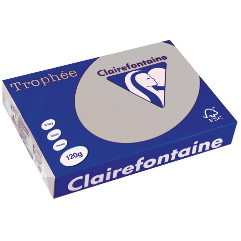 Clairefontaine Trophée Pastel, papier couleur, A4, 120 g, 250 feuilles, gris clair