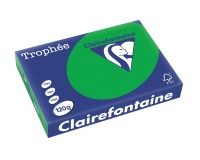 Clairefontaine Trophée Intens, papier couleur, A4, 120 g, 250 feuilles, vert billard
