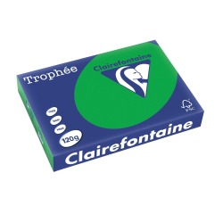 Clairefontaine Trophée Intens, papier couleur, A4, 120 g, 250 feuilles, vert billard