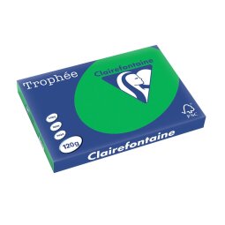 Clairefontaine Trophée Intens, gekleurd papier, A3, 120 g, 250 vel, bijartgroen