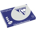 Clairefontaine Trophée Pastel, colored paper, A3, 120 g, 250 sheets, light gray