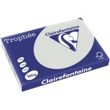 Clairefontaine Trophée Pastel, papier couleur, A3, 120 g, 250 feuilles, gris clair