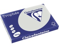 EN_TROPH GRIS ACIER A3 120GR 250F