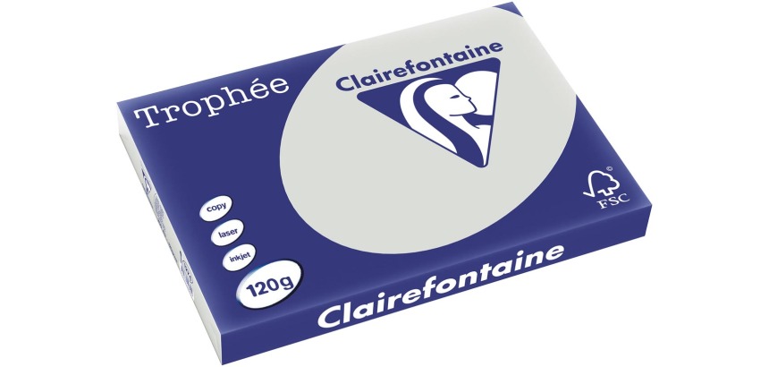 Clairefontaine Trophée Pastel, colored paper, A3, 120 g, 250 sheets, light gray