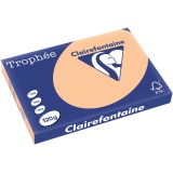 Clairefontaine Trophée Pastel, papier couleur, A3, 120 g, 250 feuilles, abricot