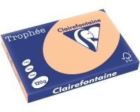 Clairefontaine Trophée Pastel, papier couleur, A3, 120 g, 250 feuilles, abricot