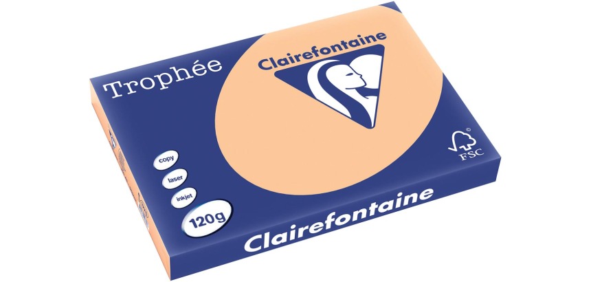 Clairefontaine Trophée Pastel, papier couleur, A3, 120 g, 250 feuilles, abricot