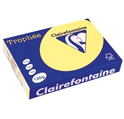 Clairefontaine Trophée Pastel, papier couleur, A4, 120 g, 250 feuilles, jonquille