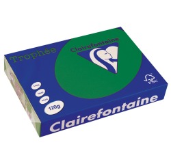 Clairefontaine Trophée Intens, papier couleur, A4, 120 g, 250 feuilles, vert sapin