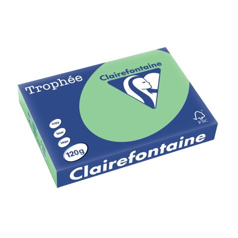 Clairefontaine Trophée Pastel, gekleurd papier, A4, 120 g, 250 vel, natuurgroen