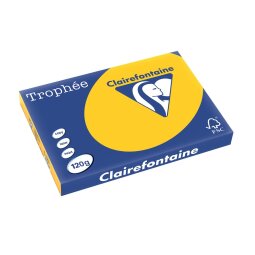 Clairefontaine Trophée Intens, papier couleur, A3, 120 g, 250 feuilles, jaune tournesol