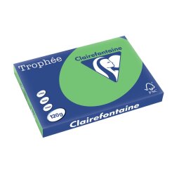 Clairefontaine Trophée Intens, papier couleur, A3, 120 g, 250 feuilles, vert menthe