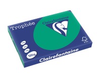 EN_TROPHEE VE SAPIN A3 120GR 250F