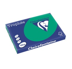 EN_TROPHEE VE SAPIN A3 120GR 250F