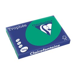 Clairefontaine Trophée Intens, papier couleur, A3, 120 g, 250 feuilles, vert sapin