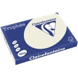 Clairefontaine Trophée Pastel, gekleurd papier, A3, 120 g, 250 vel, parelgrijs