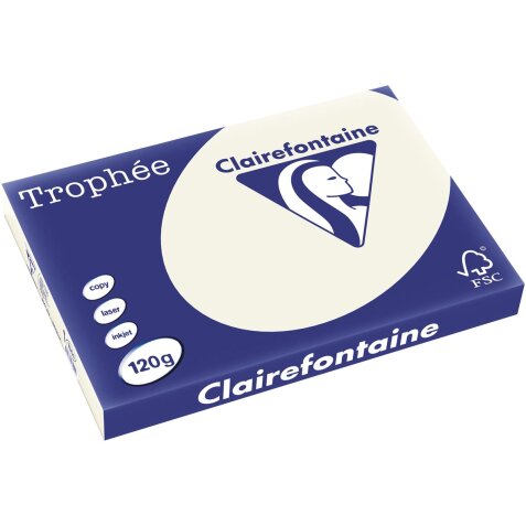 Clairefontaine Trophée Pastel, papier couleur, A3, 120 g, 250 feuilles, gris perle