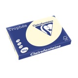 De_trophee ivoire a3 120gr 250f