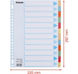 Tabbladen Esselte Premium A4 12-delig karton 23-rings assorti