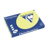 EN_TROPH JONQUILLE A3 120GR 250F